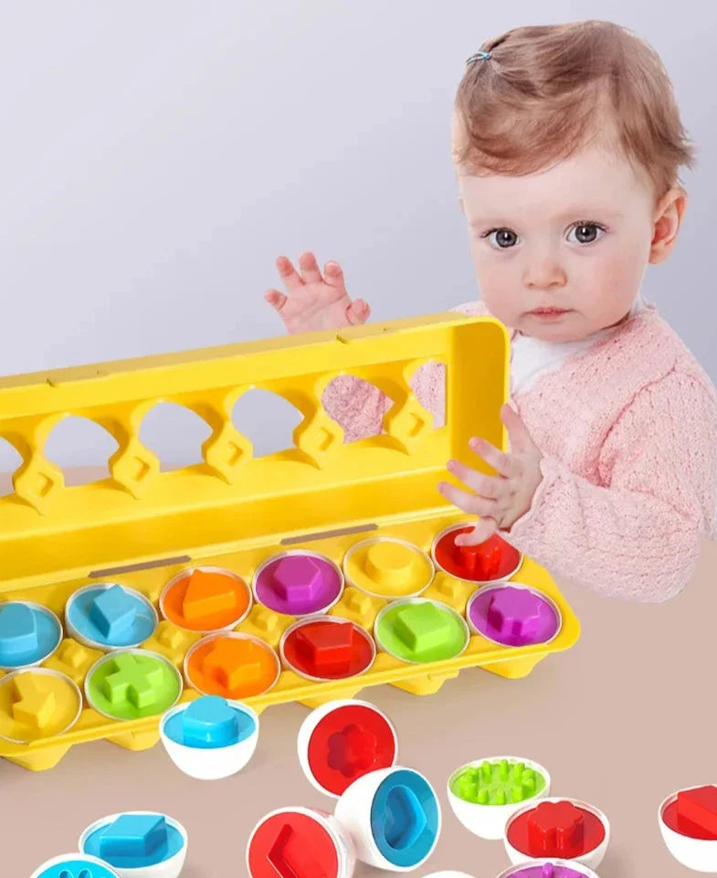 Caixa De Ovos Montessori, Brinquedo Educativo de Formas e Cores, Brinquedo de Encaixar Formas, Brinquedo De Encaixe Para Crianças, Brinquedo para Desenvolvimento Cognitivo, Brinquedo para Desenvolvimento Motor, Brinquedo Educativo, Brinquedo para Desenvolvimento Infantil, Brinquedo com Cores e Formas, Brinquedo para Bebês